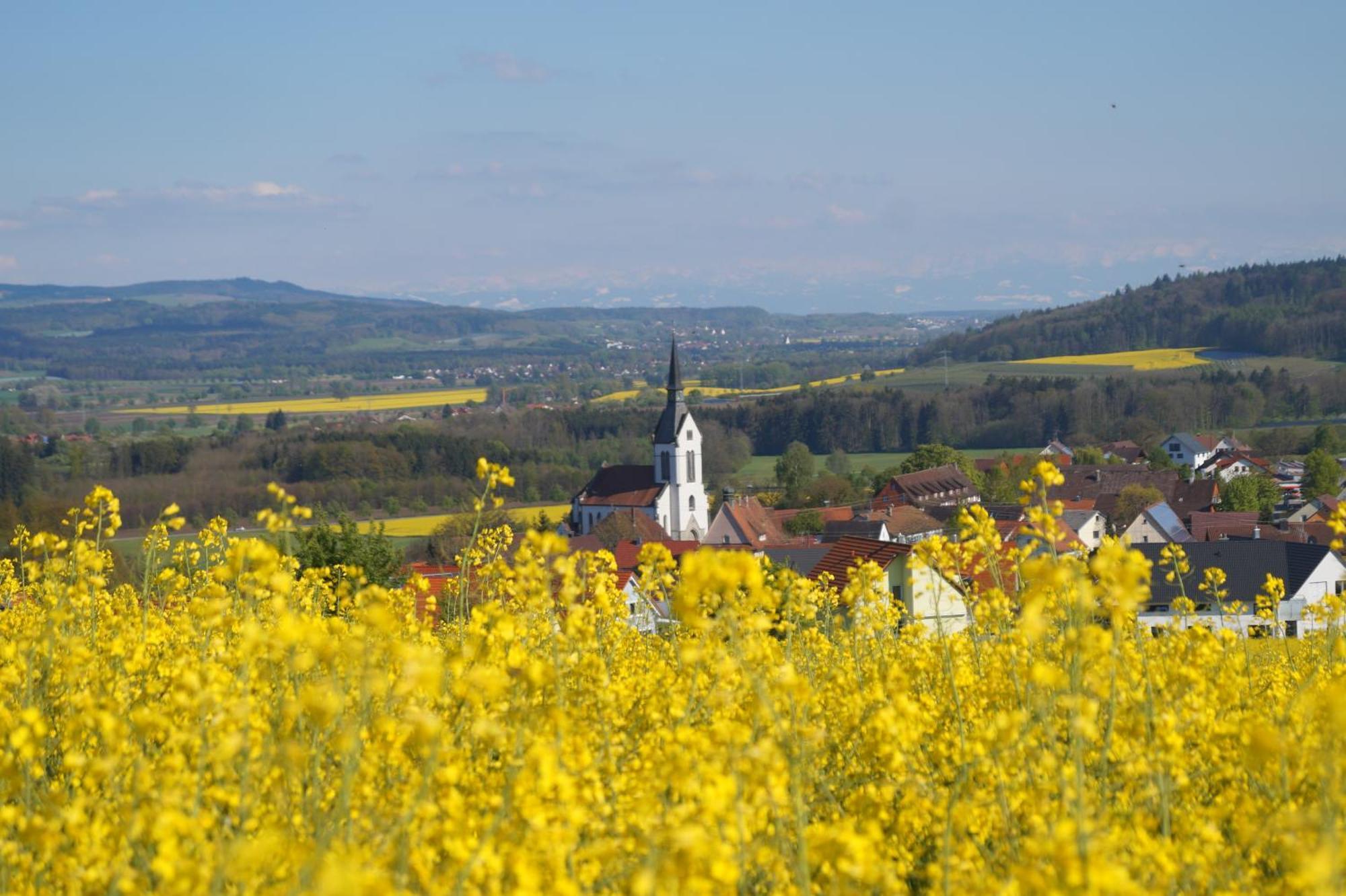Landhotel Schellenberg Uberlingen Zewnętrze zdjęcie